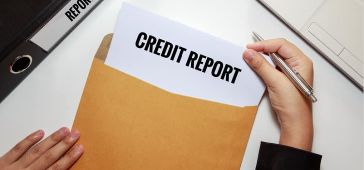 What Do Credit Card Issuers See When They Check Your Credit?