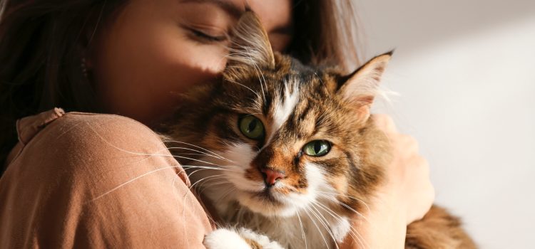 Pet Trust: What It Is and Why You Need One